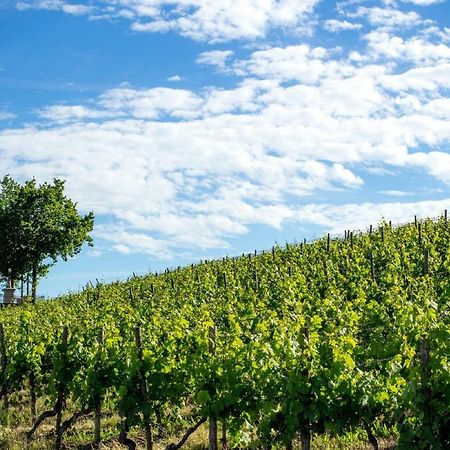 Weingut Knauer Apartman Dettelbach Kültér fotó